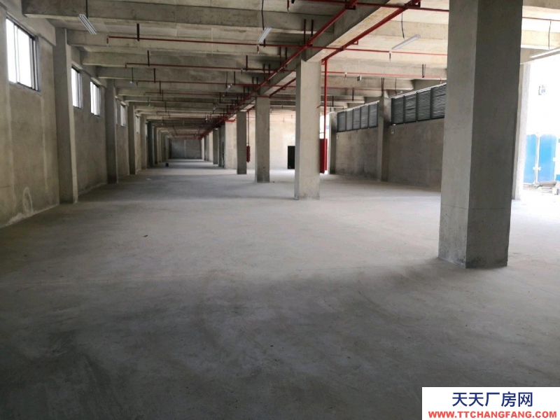 (出租) 位于深溪綠色食品產(chǎn)業(yè)園