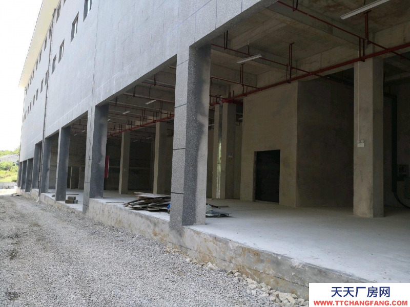 (出租) 位于深溪綠色食品產(chǎn)業(yè)園