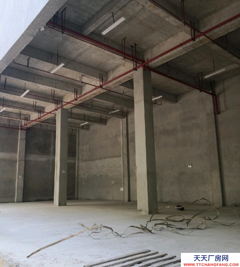 (出租) 位于深溪綠色食品產(chǎn)業(yè)園