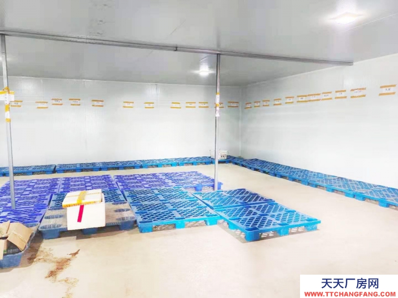 (出租) 出租國際商貿城后的 倉庫、冷庫，大小倉庫都有。