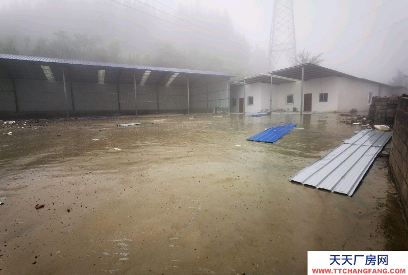 廠房可做加工廠，可做倉庫，還帶四室一廳一廚一衛(wèi)