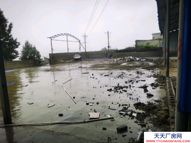 廠房可做加工廠，可做倉庫，還帶四室一廳一廚一衛