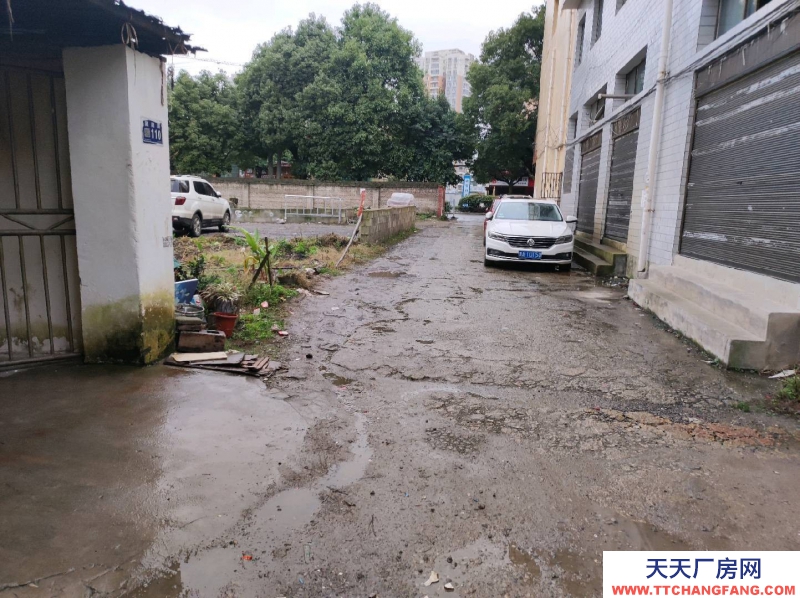 (出租) 修文倉庫出租一年一交面積110位置襄陽橋旁