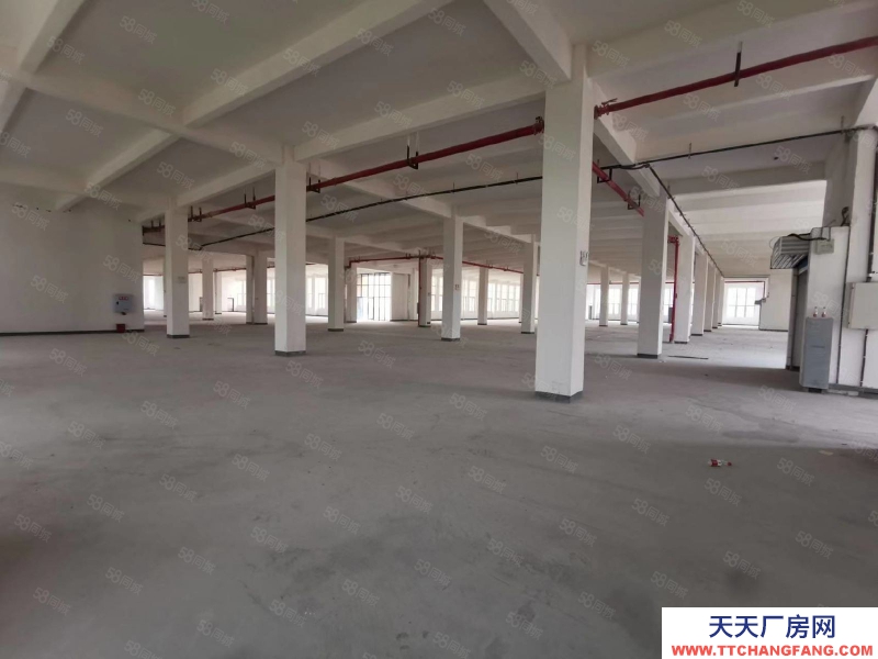 (出租) 高新區標準廠房,生產倉儲辦公功能分區完善,周邊交通配套優