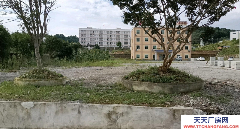 (出售) 兩幢廠房一棟辦公樓已裝修好變壓器已裝好交通方便門口就是國道。