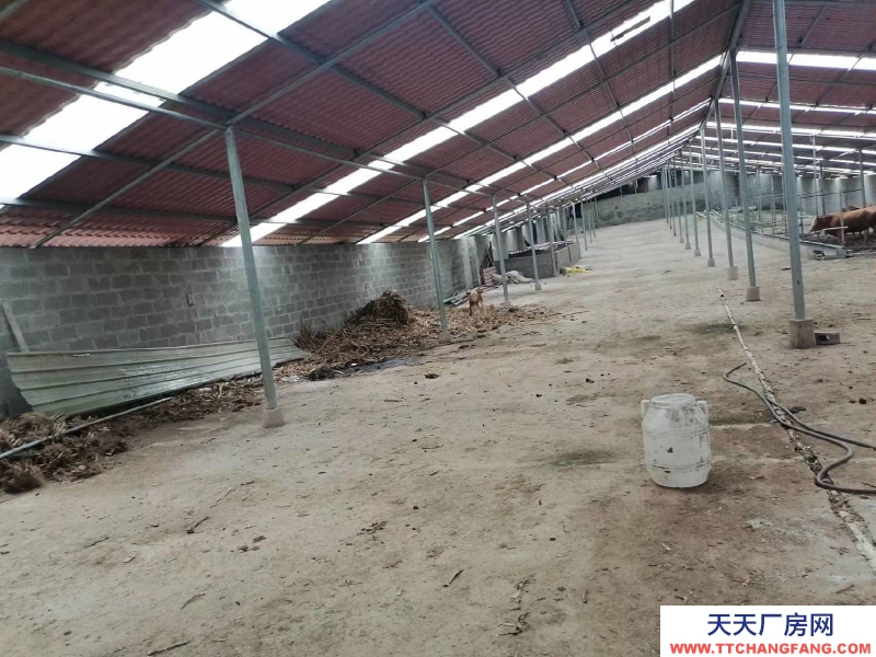 (出租) 有監控設施可議價有房可作為宿舍。可打電話議價