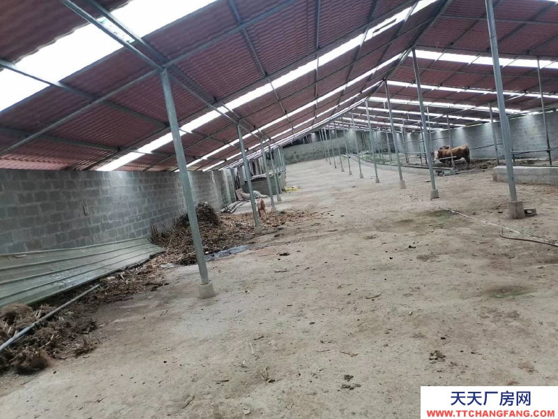 (出租) 有監控設施可議價有房可作為宿舍。可打電話議價