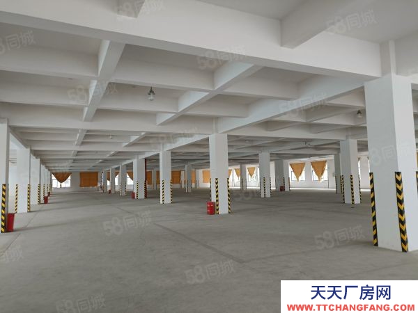 (出售) （首層8.1米）標準結構廠房出售 有產權，可定制