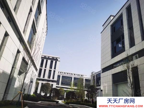 (出售) (首層8.1米)標準結構廠房出售 有產權,可定制