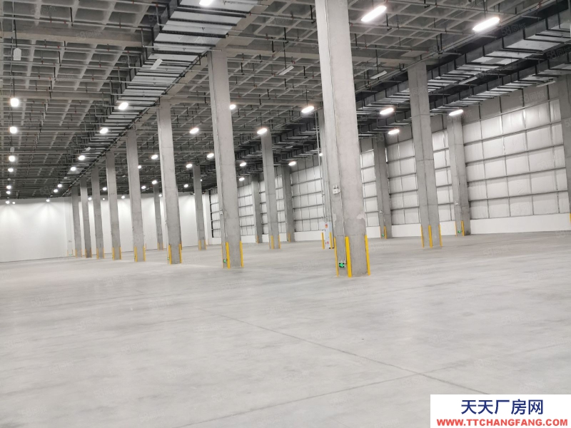 (出租) 渝北標準庫30000平 丙一類白酒庫2000平起