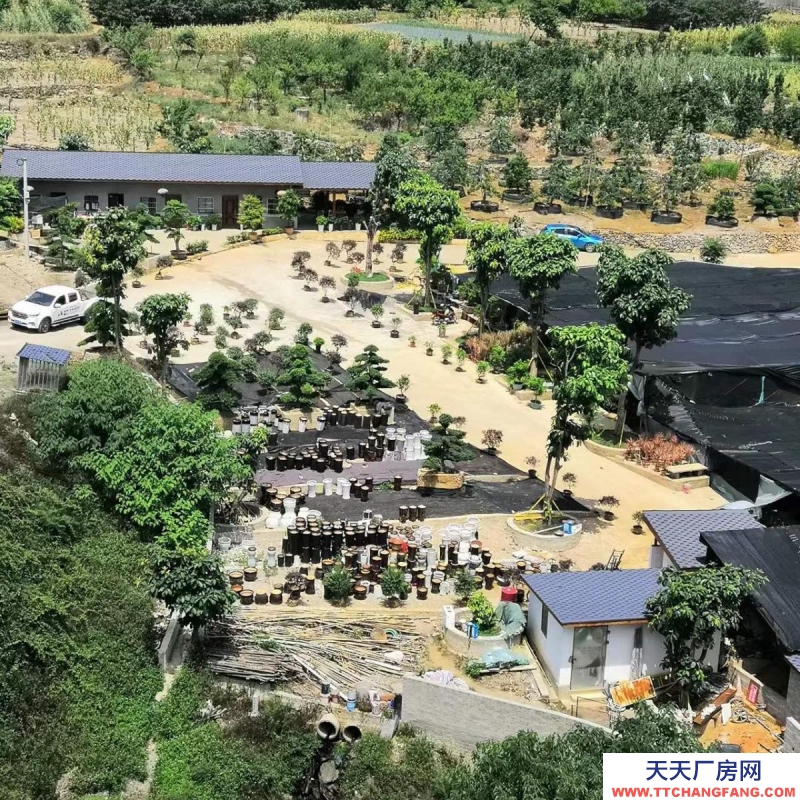 (出租) 花卉苗圃庫房長期出租