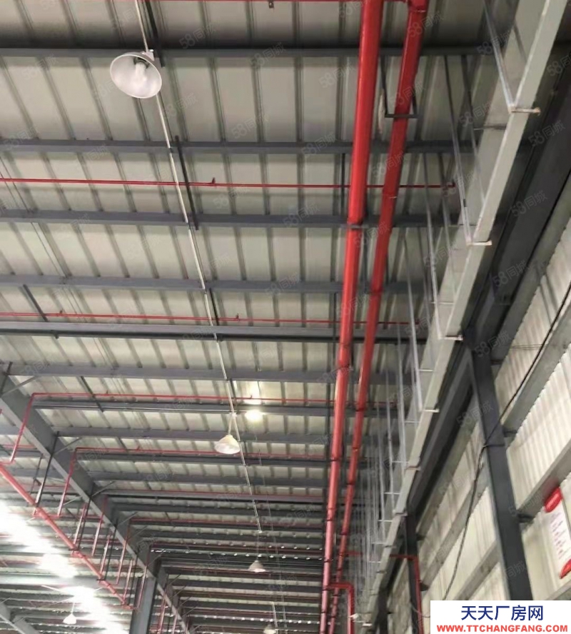 (出租) D9 187 8503 3238臺庫平庫庫房出租配套設施齊全