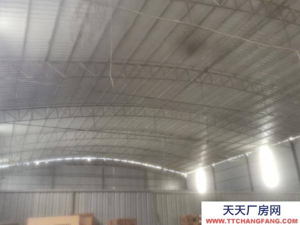 (出租) 一手出租。環(huán)境安全，可進(jìn)掛車，層高7米