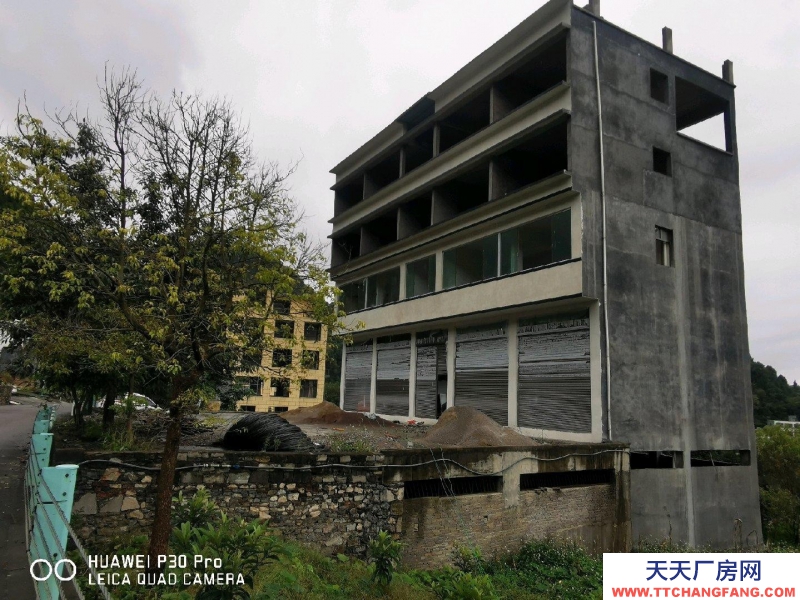 (出租) 民宿廠房倉(cāng)庫(kù)幼兒園出租