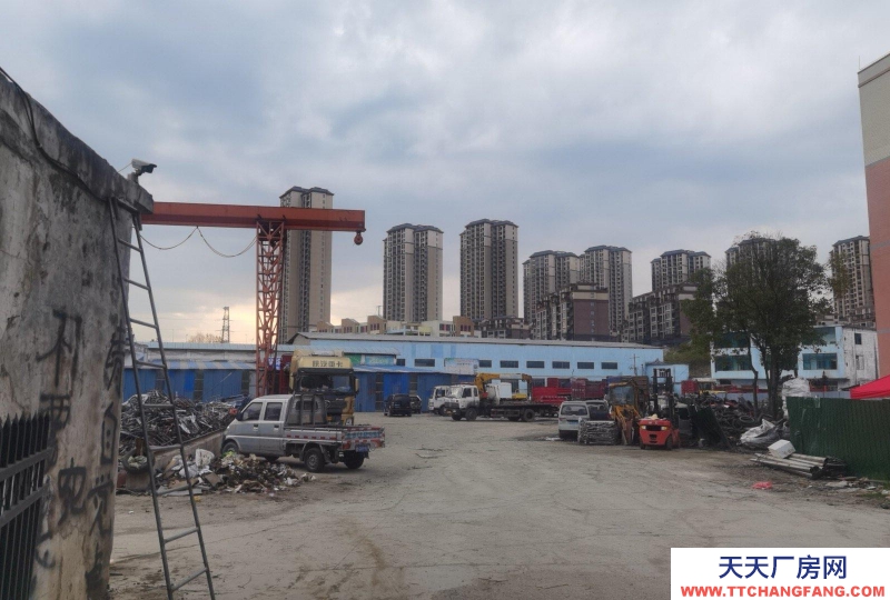 (出租) 租廠房，住房可免費(fèi)提供，門面出租。