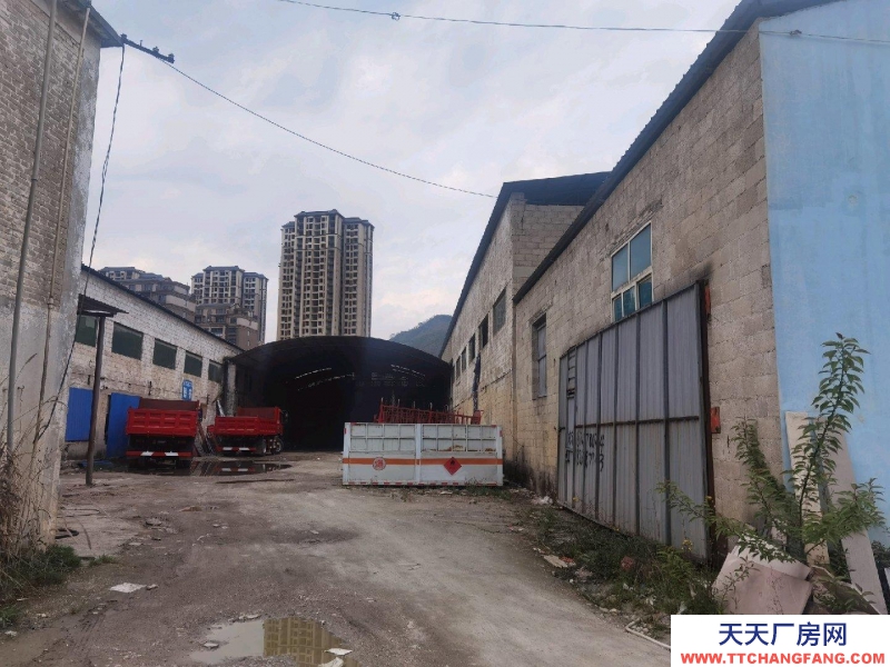 (出租) 租廠房，住房可免費提供，門面出租。