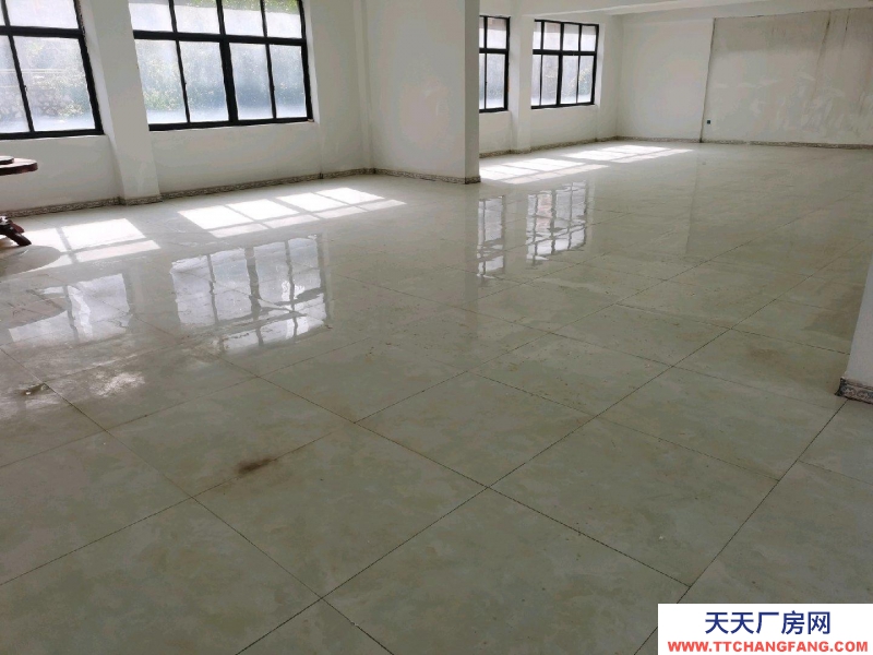 房屋簡(jiǎn)裝修 每層270共3層出租