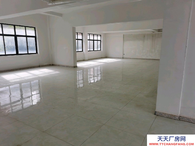 房屋簡裝修 每層270共3層出租