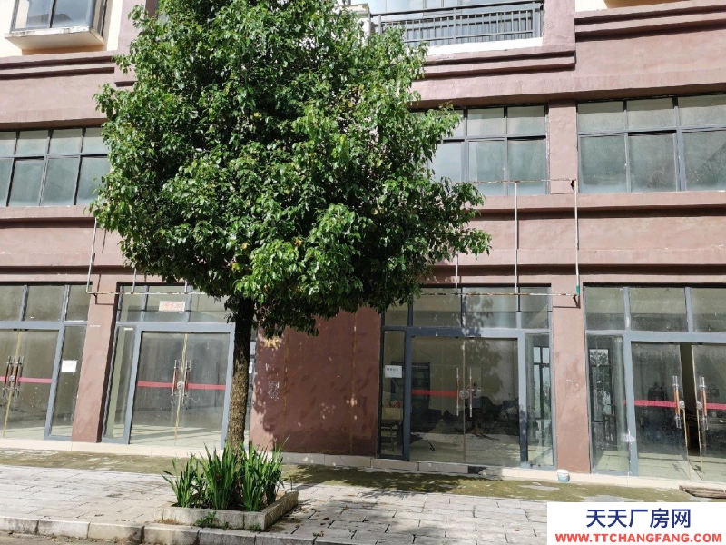 房屋簡(jiǎn)裝修 每層270共3層出租