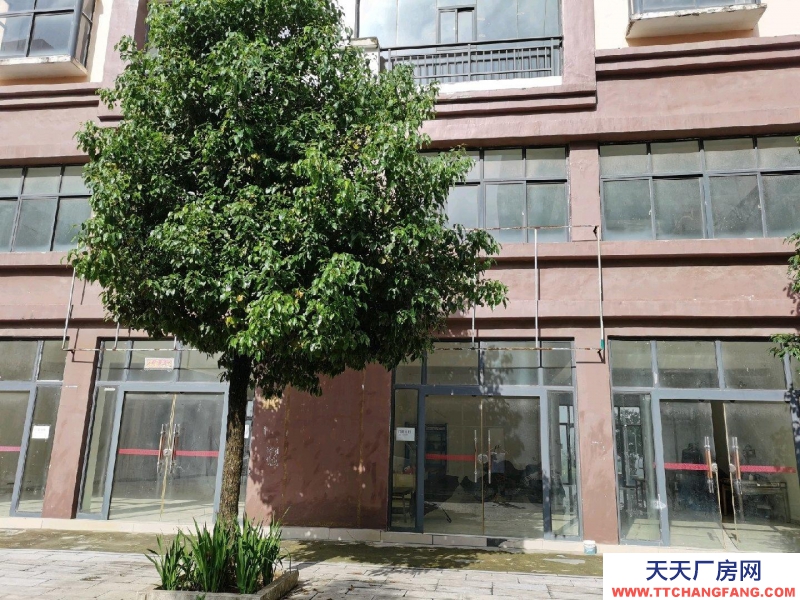 房屋簡(jiǎn)裝修 每層270共3層出租