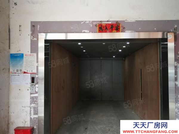 (出租) 數博大道旁金伍路65號一樓540平，420平.370平招租