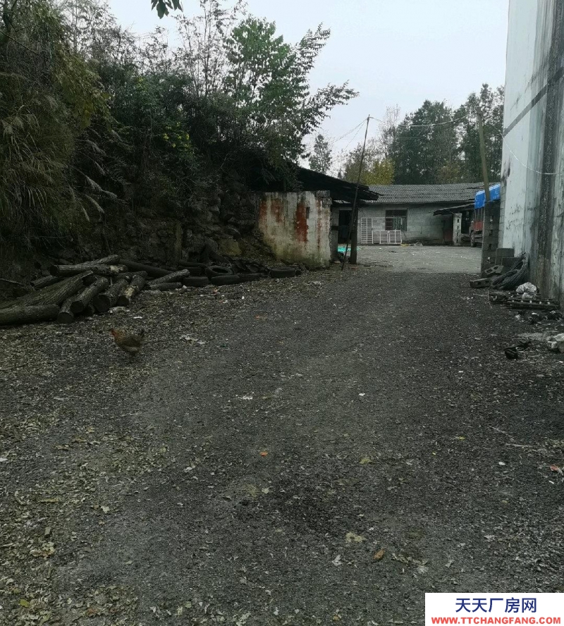 (出售)德江 一個(gè)廠房帶一個(gè)300平的。共1350平。