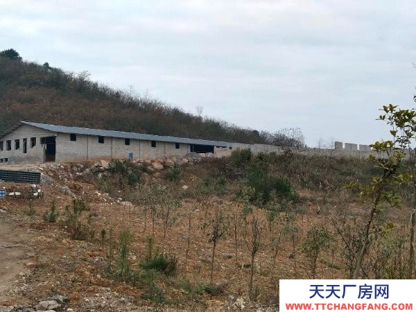 (出售) 養(yǎng)殖場(chǎng)出售,位于甕安縣猴場(chǎng)鎮(zhèn)那鄉(xiāng)村巖門組