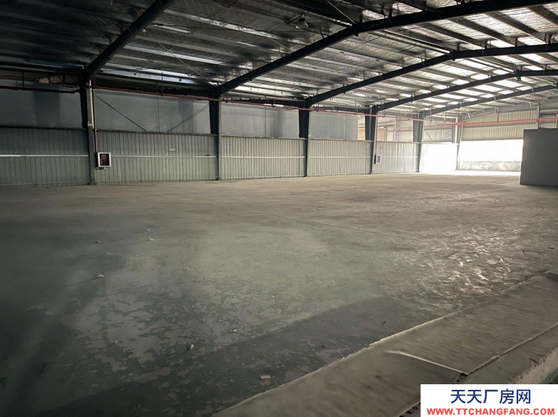 (出租) 公司直租，無公攤面積，無物業(yè)費