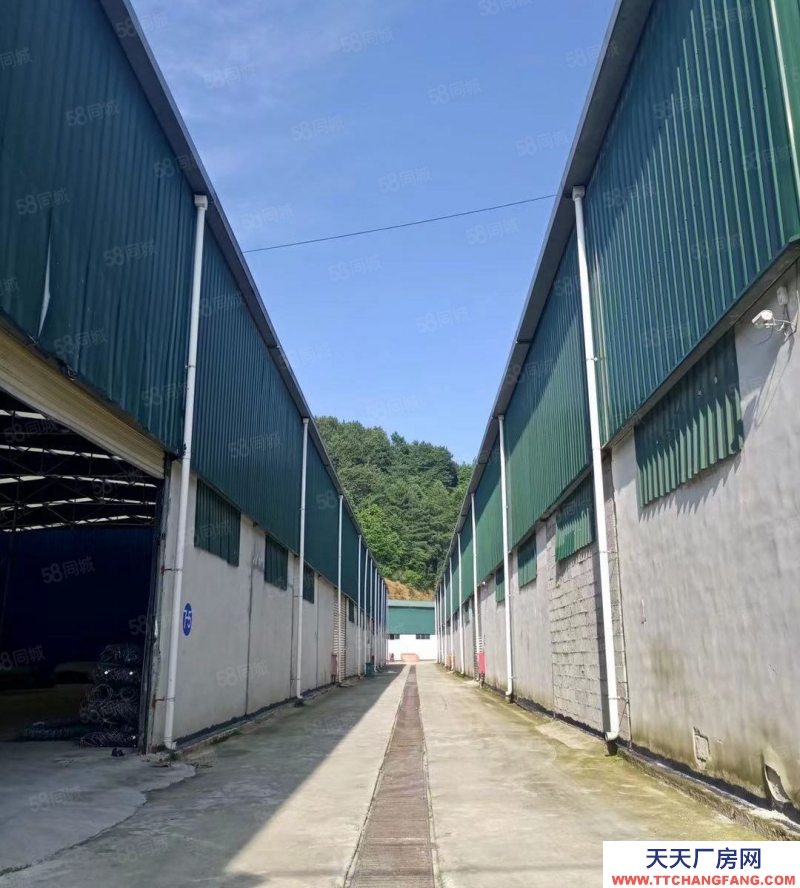 (出租) 房東直租空?qǐng)龅乜煞耪箷?huì)設(shè)施