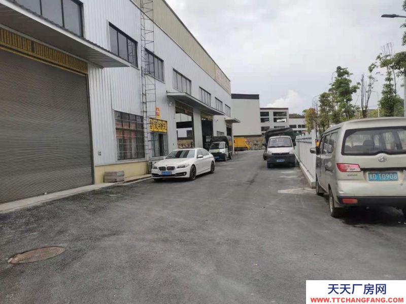 主干道邊，高12米，可賣500或1000平米。