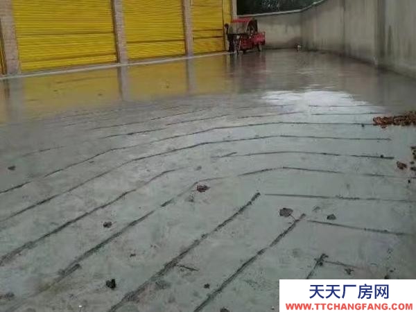 (出租) 可用于辦公，電商，產(chǎn)品展示