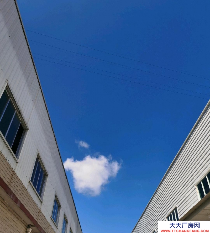 (出售) 土地面積7129，建筑面積5000平方，帶不動(dòng)產(chǎn)證