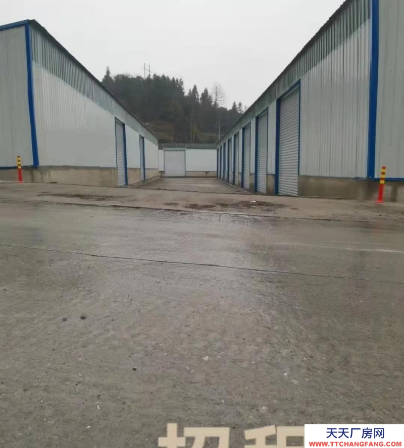 (出租) 都勻沙壩新建標準倉儲，交通便利