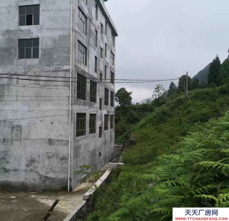 (出售) 一棟6層樓,現(xiàn)在 180萬元起出售