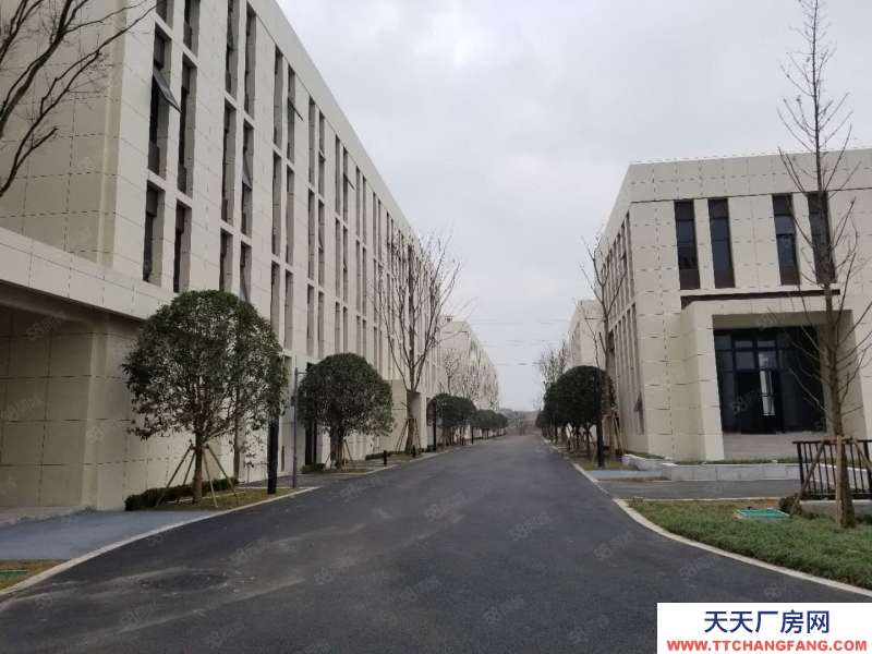 (出租) 沙文靠貴陽主城獨棟廠房出售，隸屬高新區，政策范圍廣泛