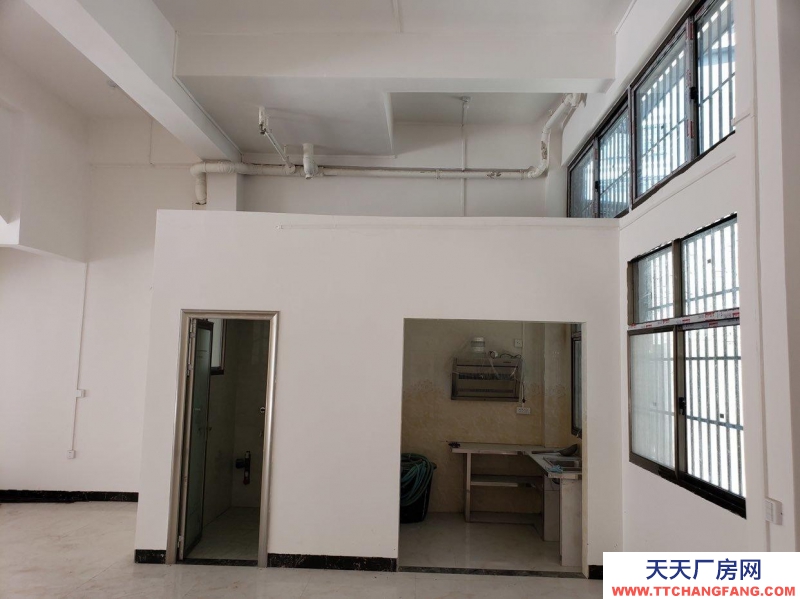 (出租) 安龍新車站對面倉庫出租