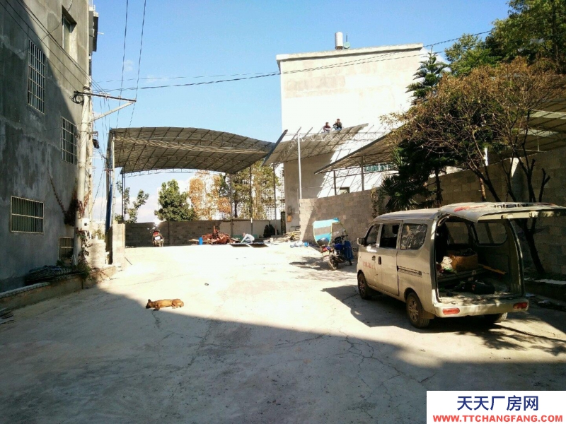 (出租) 黃泥寨！來銀酒店斜對面 倉庫 600平米