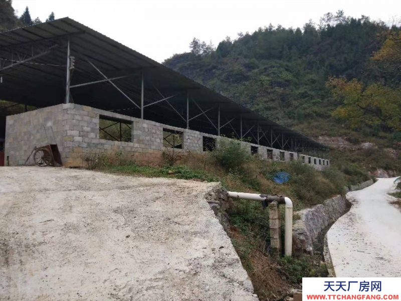 (出租) 養(yǎng)牛場200頭規(guī)模，辦公宿舍樓一棟，通路牧場100畝