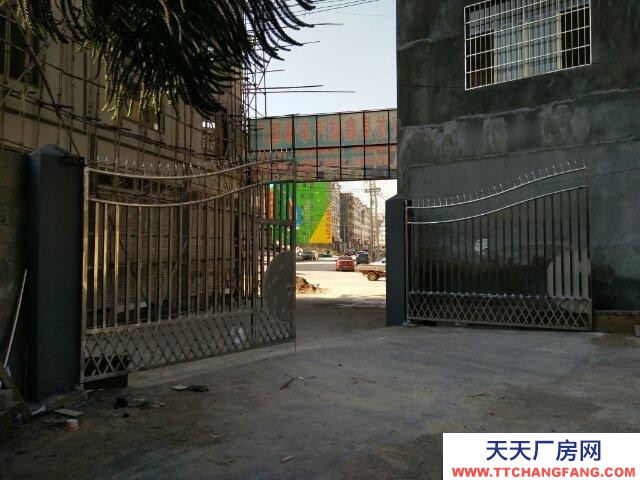 (出租) 新車站對面安置區黃泥寨 倉庫 500平米