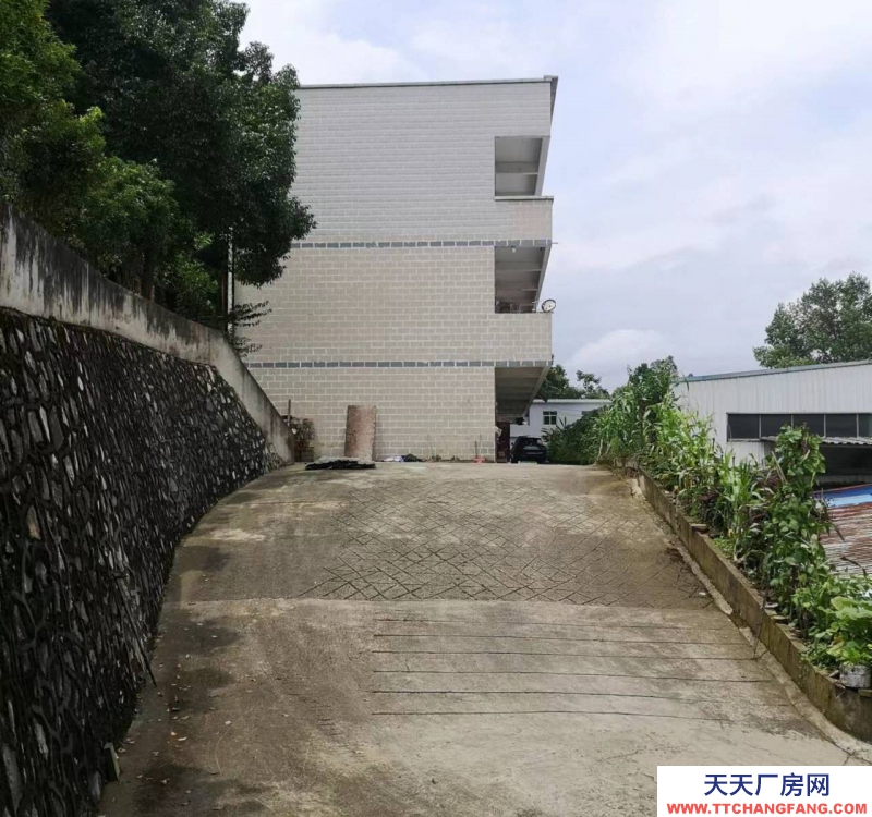 價格實惠，環境好，視野廣闊，適合做倉庫，辦公，各種企業生產。