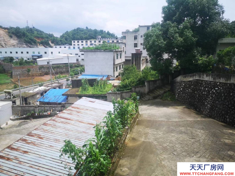 價格實惠，環境好，視野廣闊，適合做倉庫，辦公，各種企業生產。