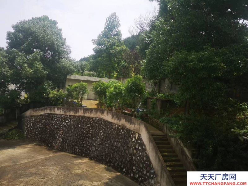 價格實惠，環境好，視野廣闊，適合做倉庫，辦公，各種企業生產。