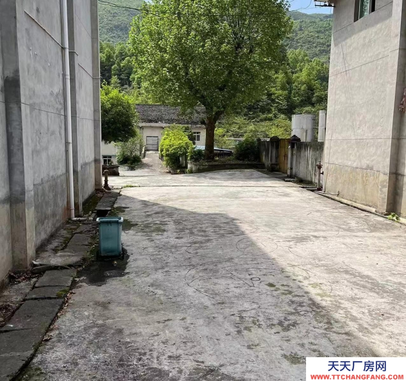 (出租) 老酒廠 可收購可合作可租用