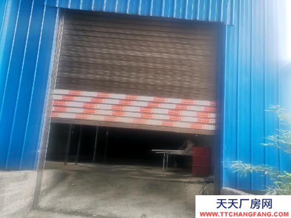 (出租) 可作貨物倉庫及加工廠房