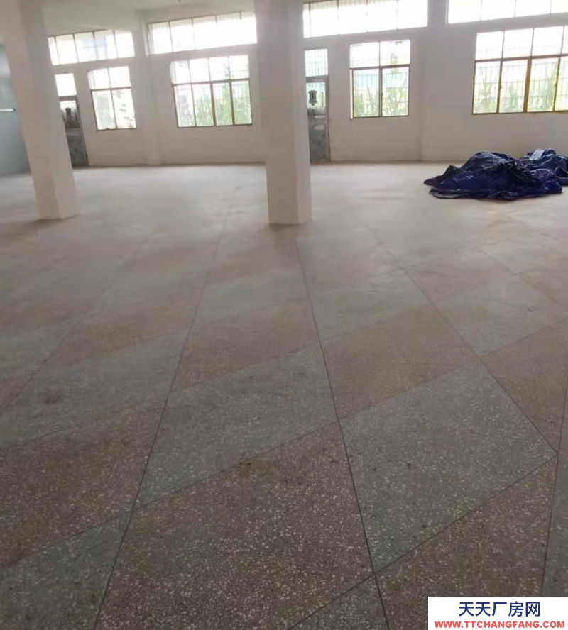 2000元250平方左右大倉庫用處很大，希望實地看房