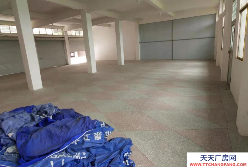 2000元250平方左右大倉庫用處很大，希望實地看房