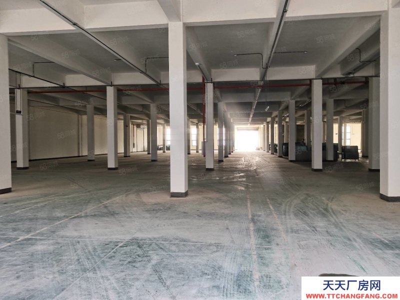 (出租) 南岸茶園工業園2200平米一樓廠房出租