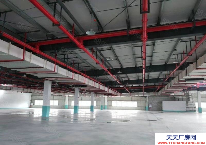 (出租) 茶園經(jīng)開區(qū)12000平標(biāo)準(zhǔn)廠房倉庫出租 可分租