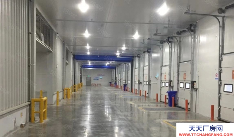 (出租) 出租凍庫冷庫冷藏庫5萬平租3年免1年可分零