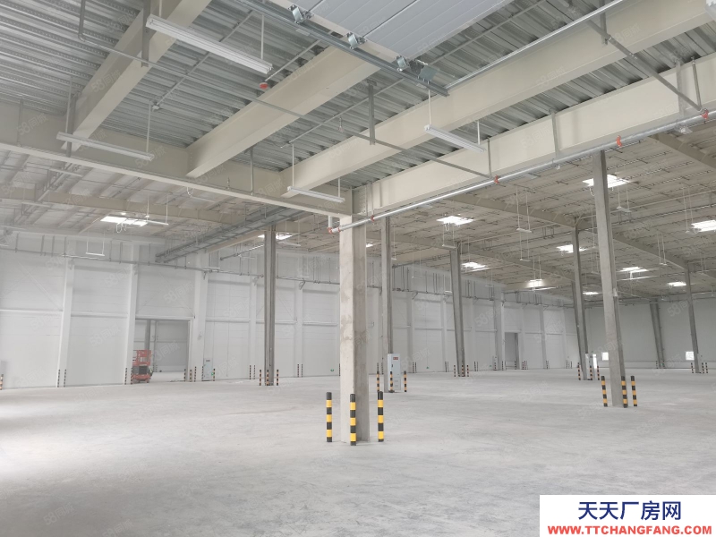 (出租) 沙坪壩大學(xué)城8500平標(biāo)準(zhǔn)倉(cāng)庫(kù)出租